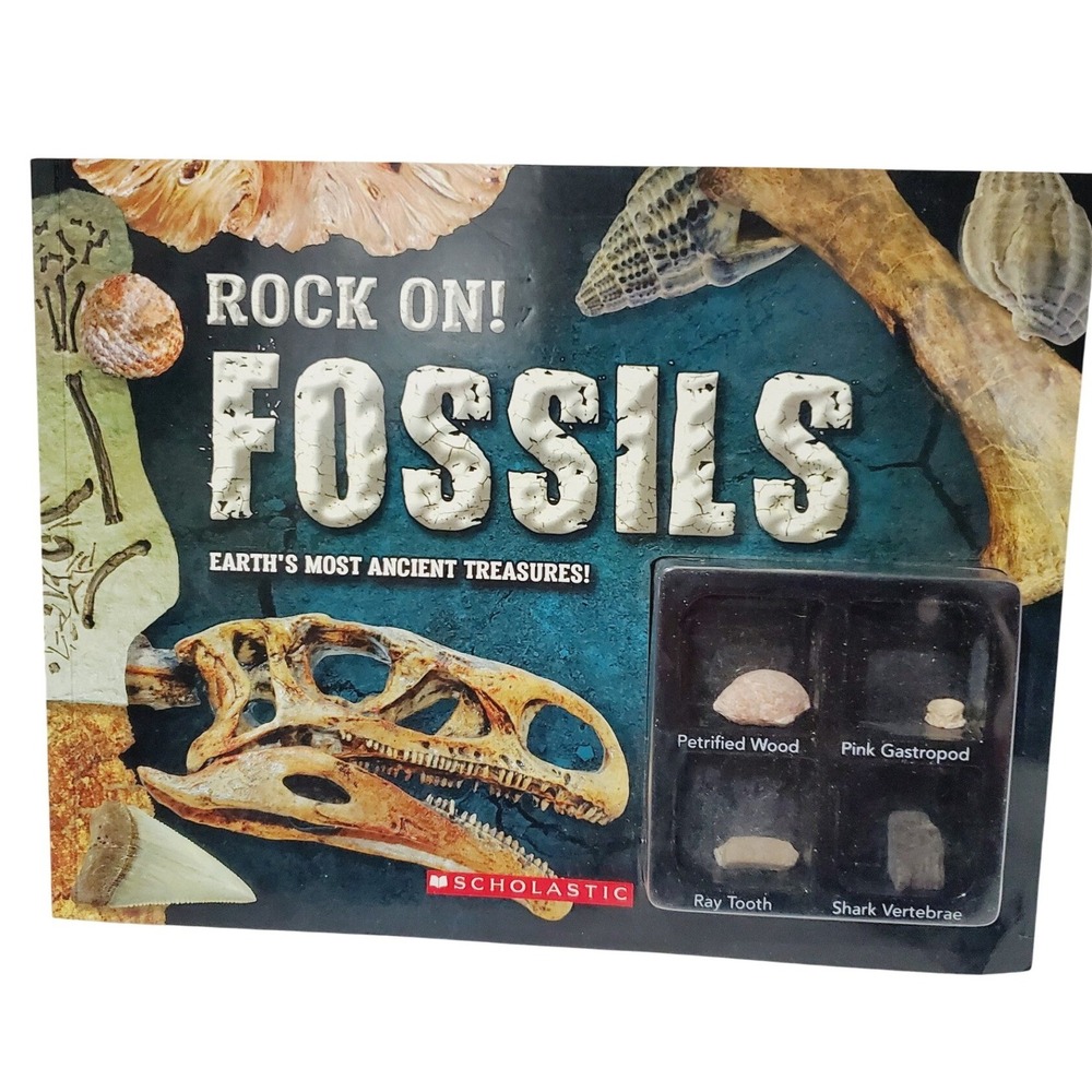 Scholastic Rock On! Fossils Book Rare Dinosaur Bones Ancient Creatures Kids 8+